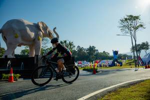 BIB: 
                            <button type="button" onclick="openModal(26182975)" class="btn btn-primary btn-sm float-right btn-popup" data-toggle="modal" data-target=".modal-high-quality">
                        <i class="fas fa-shopping-cart"></i> Add to Cart
                    </button>
                                            <button type="button" onclick="isThisMe(26182975, true)" class="btn btn-success btn-sm float-right btn-popup btn-isme hidden" data-toggle="tooltip" data-placement="bottom" title="นี่คือรูปของคุณใช่ไหม คลิกที่นี่เพื่อเอาเข้าอัลบั้ม">
                        <i class="fas fa-plus"></i> Add to album
                    </button>
                    <button type="button" onclick="isThisMe(26182975, false)" class="btn btn-warning btn-sm float-right btn-popup btn-isnotme hidden">
                        <i class="fas fa-ban"></i> Remove from album
                    </button>